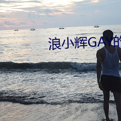 浪小辉(輝)GAY的视(視)频刚(剛)从(從)哪里(裏)