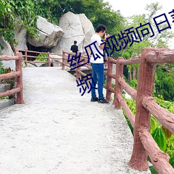 丝瓜视频向日葵视频草莓深夜福利视频