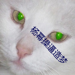 杨幂操(操)逼造梦(夢)