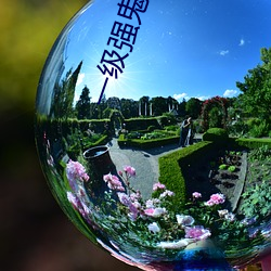 一级(級)强鬼片在线(線)播(播)放