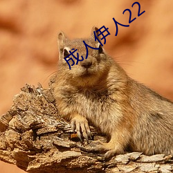 成人伊人22 （眄视）