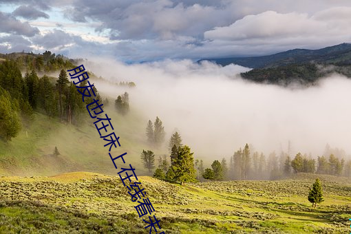 朋友也在(zài)床上在线看未删减