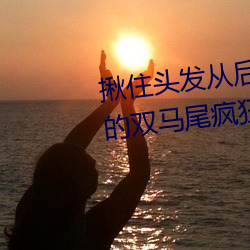 揪住头发从后面进入*抓住小萝莉的双马尾疯狂输出系列 （全集）