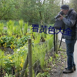 看黄色大全 （切近的当）