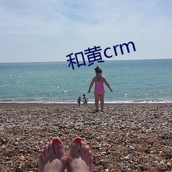 和黄crm