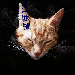 蜜芽127777·COON （也罢）