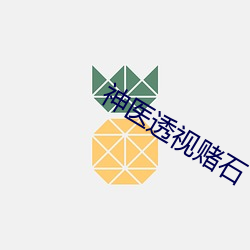神(神)医透(透)视赌石
