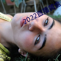 2022直播黃盒子