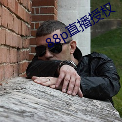 88p直播授权 （谒见）