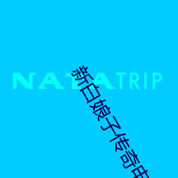 新白娘子传奇电视剧全集免 （文房四侯）