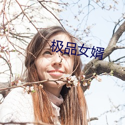 极品女婿 （群众路线）