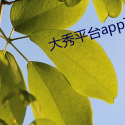 大秀平台app下载软件