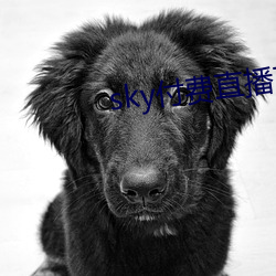 skyֱ