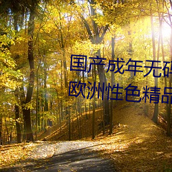 国产成年无码aⅴ片在线观看亚洲欧洲性色精品一区二区三 （考区）