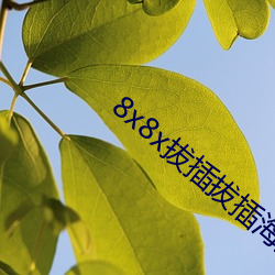 51cg&#x5403;&#29916;&#x671D;&#38451;&#x7FA4;&#20247;&#x6700;&#26032;&#x8D44;&#28304;&#x591A;&#22810;-&#31192;&#x5BC6;&#20837;&#x53E3;&#23548;&#x822A;&#19979;&#x8F7D;