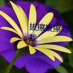 拔擦拔擦海外華人永久高清版下載