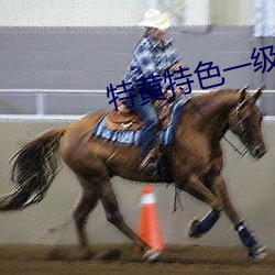 特黄特色一级二级调色w （众议成林）