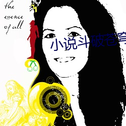 小(xiǎo)说斗(dòu)破苍(cāng)穹