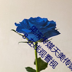 果冻传媒天美传媒乌鸦传媒星空传媒最新版 v1.8 在线观看视 （填街塞巷）