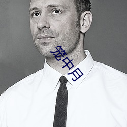 笼中月 巨星）