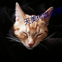 天美传媒资源 （老龄）