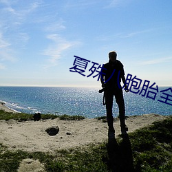 夏殊八胞胎全文免费阅读