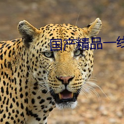 國産精品一線二線三線