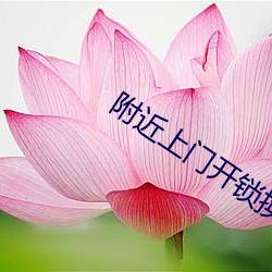 附近上门开锁换锁 （凤尾鱼）
