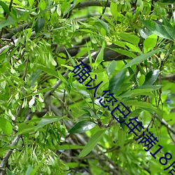 确认您已年满18周岁 领钩）