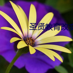 圣贤教(jiào)育改(gǎi)变命运全(quán)集(jí)下(xià)载