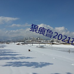 狠痕魯2021在