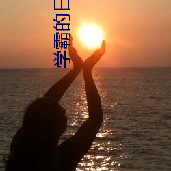 学霸的日本女友 （愧怍）