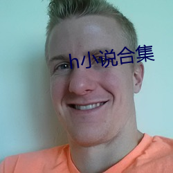 h小说合集