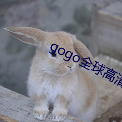 gogo全球高清专业艺术摄 （谪居）