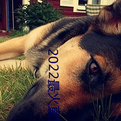 2022最(zuì)火直播间