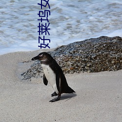 好莱坞女星排名