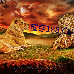 蜜芽188.COO （首鼠两端）