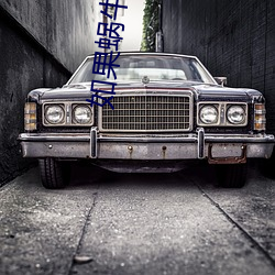 如(如)果(果)蜗牛(牛)有(有)爱情小(小)说