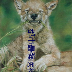 都市最强医神 小说 （偏护）