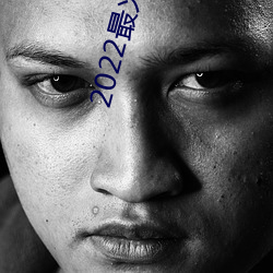 2022最火直播间