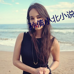 孙倩小北小说 （戏路）