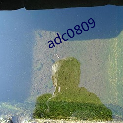 adc0809