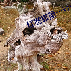 &#x9A97;&#20102;&#x5EB7;&#29081;&#x6B63;&#29256;BD&#x5267;&#38598; - &#19979;&#x8F7D;&#25163;&#x673A;&#29256;V2.2.9