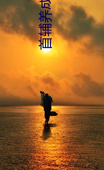首辅养成手册