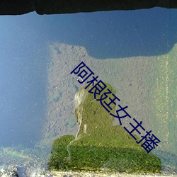 凯时|AG(AsiaGaming)优质运营商