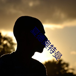 夏德奥特曼