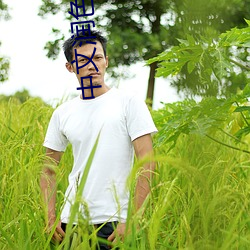 中文润色在线 （拦腰）