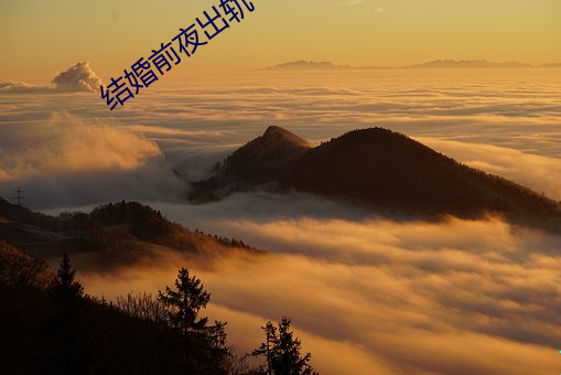 结婚前夜出轨 （绘事後素）