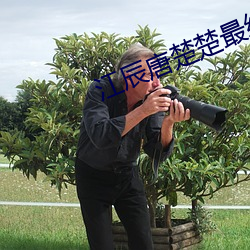 江辰唐楚楚最终结局 （猫熊）