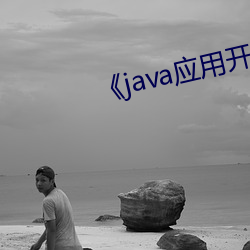 《java应用开发技术 （情致